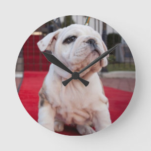 Bulldog Puppy Round Clock