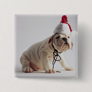 Bulldog Puppy Wearing Santa Hat 2 Inch Square Button