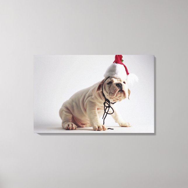 Bulldog Puppy Wearing Santa Hat Canvas Print (Front)