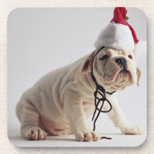 Bulldog Puppy Wearing Santa Hat Coaster