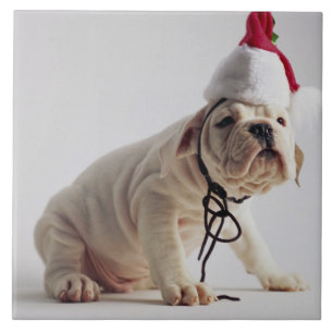 Bulldog Puppy Wearing Santa Hat Tile