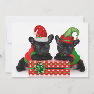 bulldog puppy with Christmas gift Holiday Card