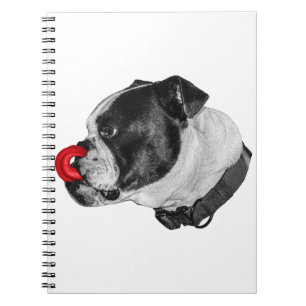 Bulldog Red Accent Notes Notebook