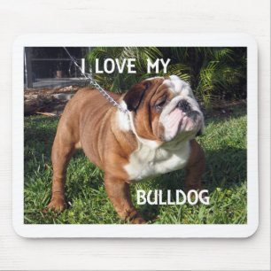 bulldog red and white love w pic mouse pad