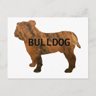 bulldog red brindle name silo postcard