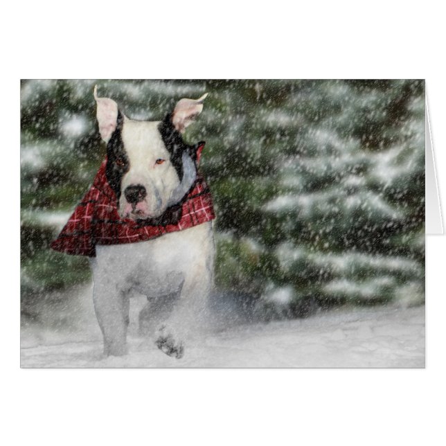 Bulldog Rescue Pup Dashing through the Snow (Front Horizontal)