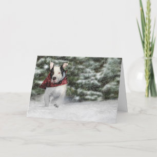 Bulldog Rescue Pup Dashing through the Snow Holiday Card