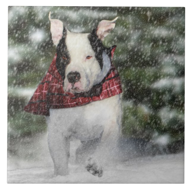 Bulldog Rescue Pup Dashing through the Snow Tile (Front)
