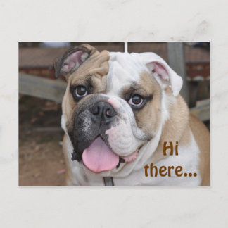 Bulldog "Salut là" Carte postale