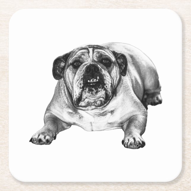 Bulldog shade of joy square paper coaster (Front)