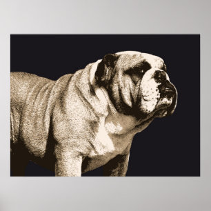 Bulldog Spirit Poster