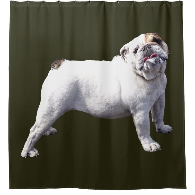 Bulldog Standing Tall (Front)