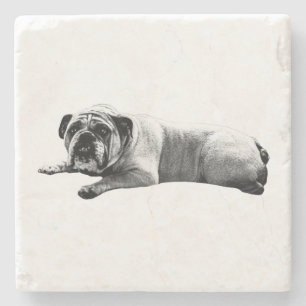 Bulldog Still Moments Stone Coaster