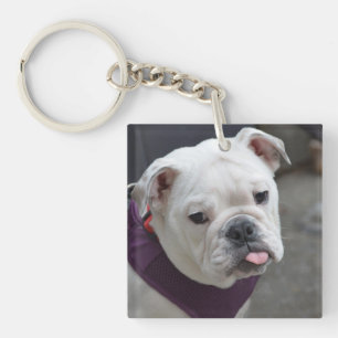 Bulldog Taunt Keychain