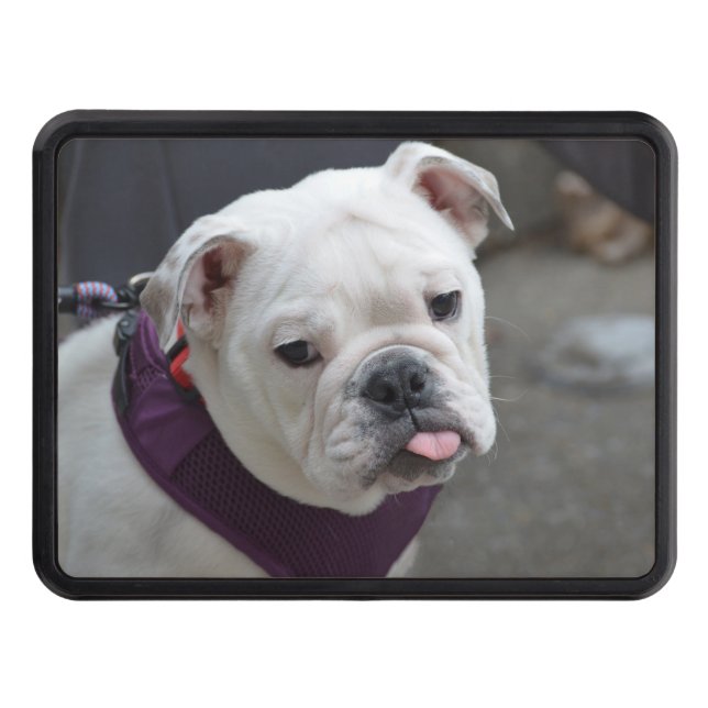 Bulldog Taunt Trailer Hitch Cover (Front)