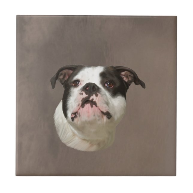 Bulldog Water Colour Art Painting Tile (Front)