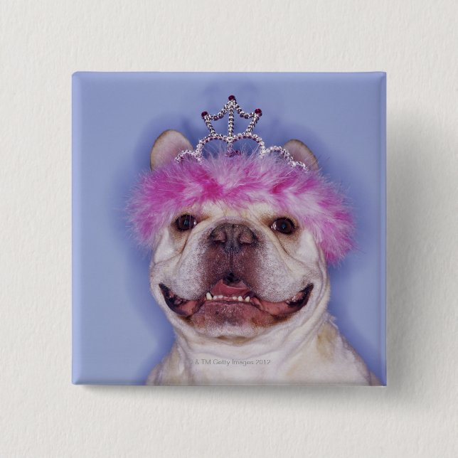 Bulldog wearing tiara 2 inch square button (Front)