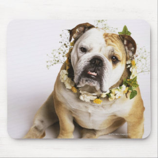 Bulldog with flower collar mouse pad