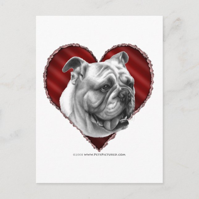 Bulldog with Heart Postcard (Front)
