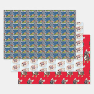 Bulldogen et papier cadeau de Mastiff