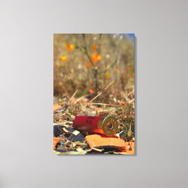 Bullets2 Canvas Print (Front)