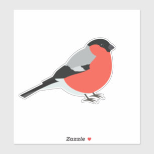 Bullfinch bird