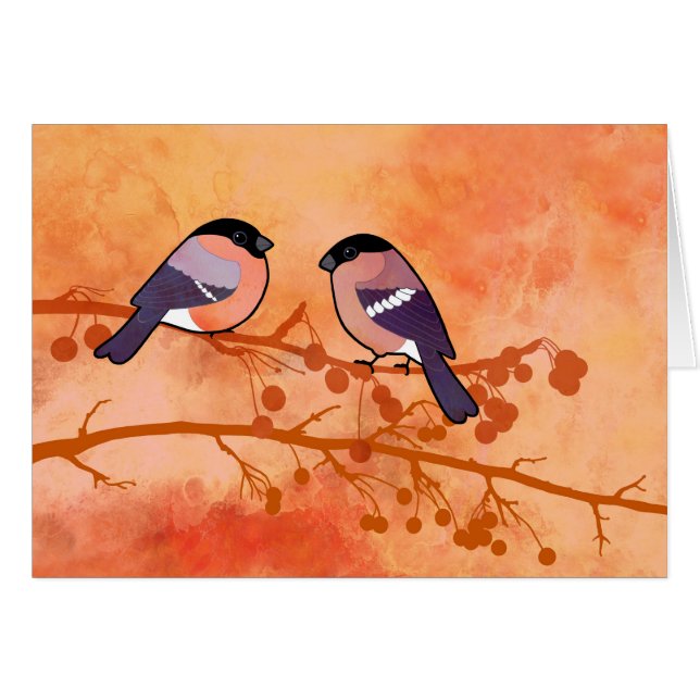 Bullfinch (Pyrrhula pyrrhula) (Front Horizontal)