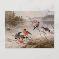 Bullfinches in winter landscape CC0821 Von Wright
