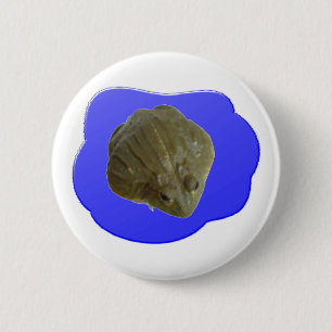 Bullfrog Button