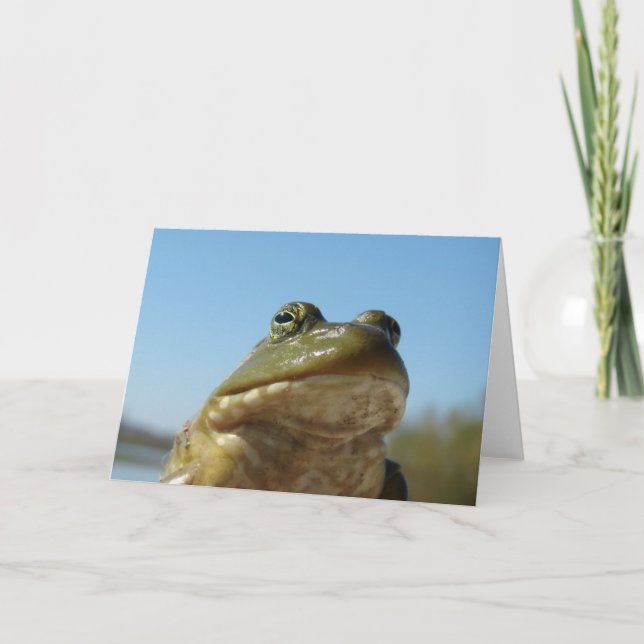 Bullfrog Card (Front)