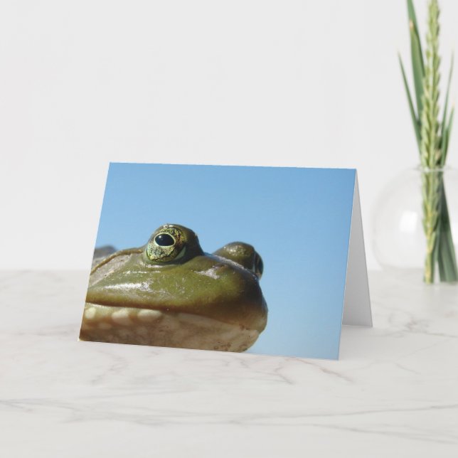 Bullfrog Card (Front)