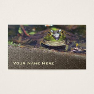 Bullfrog Face Nature