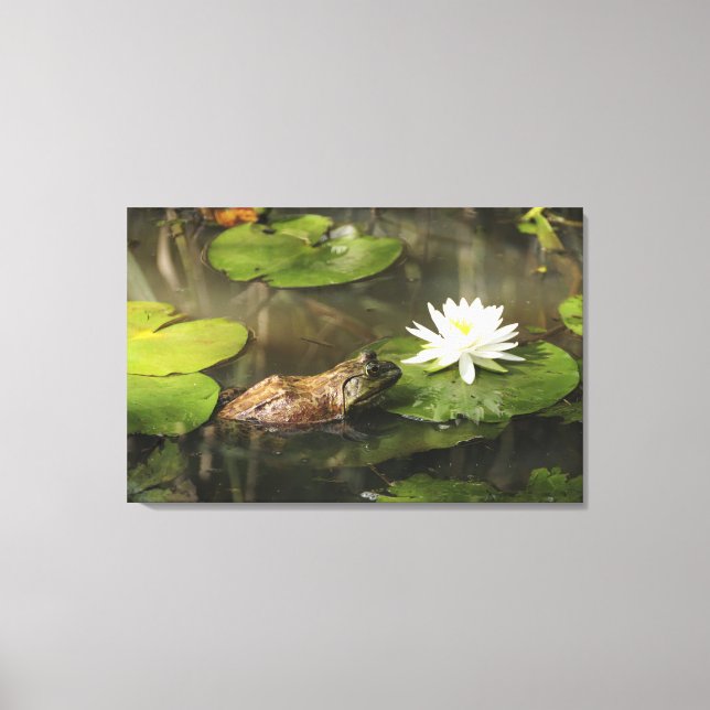 Bullfrog in Lily Pond Canvas Print (Front)