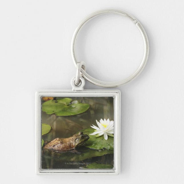 Bullfrog in Lily Pond Keychain (Front)
