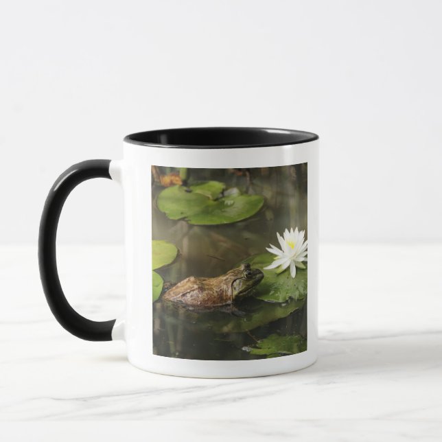 Bullfrog in Lily Pond Mug (Left)