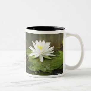 Bullfrog in Lily Pond Two-Tone Coffee Mug