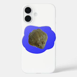 Bullfrog in Pond iPhone 5 Case
