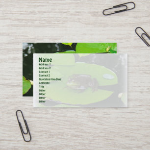 Bullfrog on Lilypads Business Card