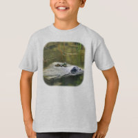 Bullfrog On Rock In Pond Nature 
