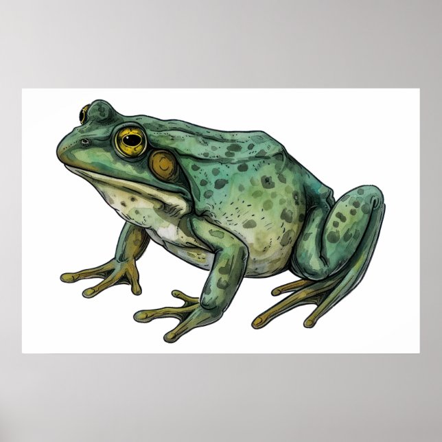 Bullfrog     poster (Front)