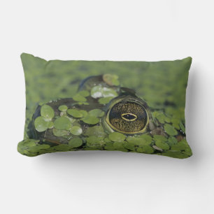Bullfrog, Rana catesbeiana, adult in duckweed Lumbar Pillow