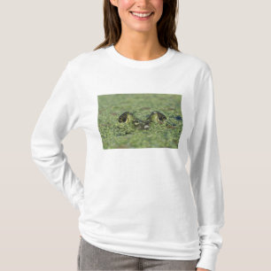 Bullfrog, Rana catesbeiana, adult in duckweed T-Shirt