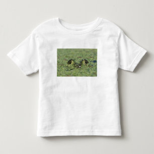 Bullfrog, Rana catesbeiana, adult in duckweed Toddler T-shirt