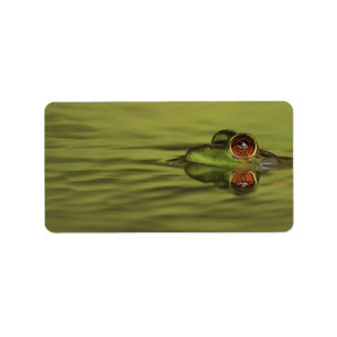 Bullfrog Swimming Address Labels