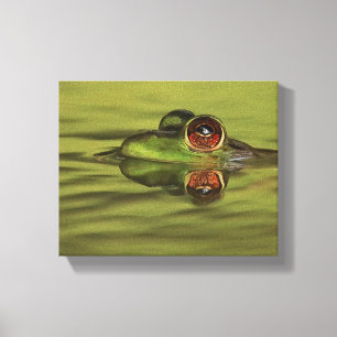 Bullfrog Swimming Canvas Print