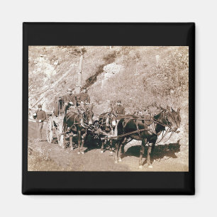 Bullion Stage Coach Vintage Magnet