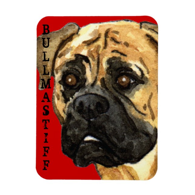 Bullmastiff Colour Block Magnet (Vertical)