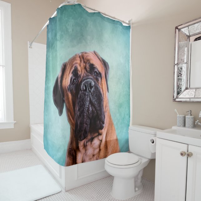 Bullmastiff dog (In Situ)