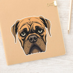 Bullmastiff Dog Cute Puppy Face Contour