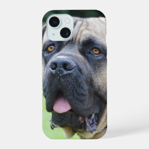 Bullmastiff Face iPhone 15 Case